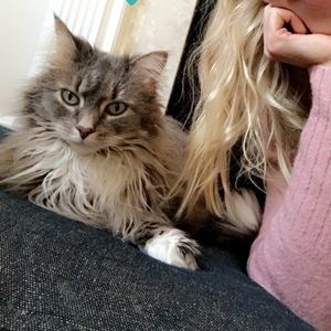 Meet your Posher, Lisa